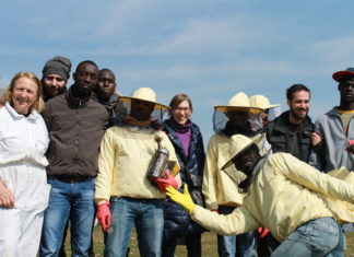 Un gruppo di dodici persone, tra migrati e volontari dell'associazione, del team di lavoro di Bee My Job