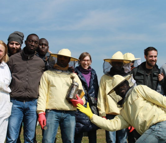 Un gruppo di dodici persone, tra migrati e volontari dell'associazione, del team di lavoro di Bee My Job